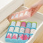 ZYOZ 5-Compartment Plastic Storage Box | Closet Organizer for Underwear, Socks & Accessories