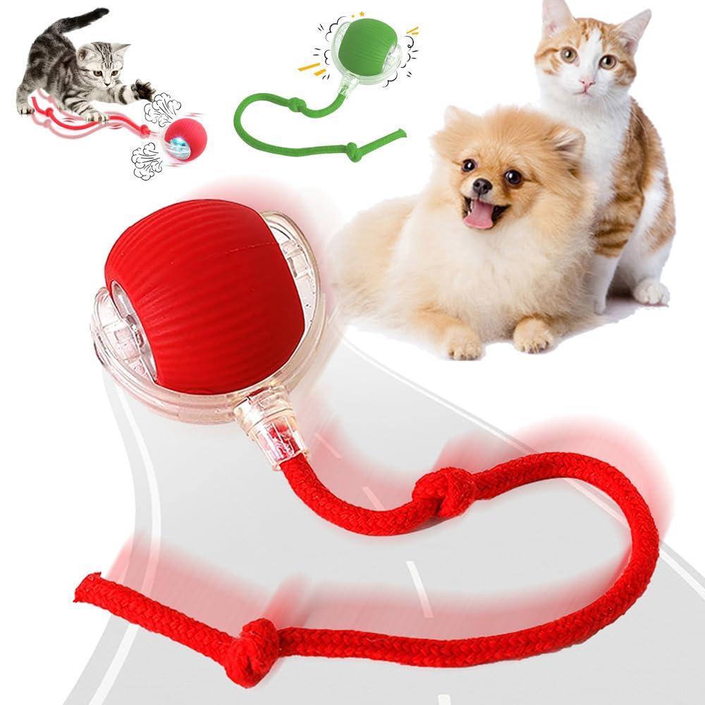 Interactive Electric Automatic Rolling Moving Rechargeable Self Play Stimulation Toy for Cats and Small Dogs - Smart Pet Chase Ball with Speedy Tail Rope for Indoor