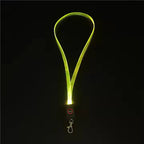 LED Carnival Cruise Lanyard Light Up Flashing Neon Necklace with ID Badge Key Card Holder Heavy Duty VIP Bright Cool Neck Lanyards for Women Men Kids Disney Disneyland Cruise Gifts