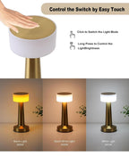 ZYOZ Portable LED Table Lamp for Bedroom, Living Room, Stepless Dimming, 3 Colour Touch Control Metallic Finish Rechargeable Battery Backup Night Light, Bedside Table Lamp