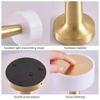 ZYOZ Portable LED Table Lamp for Bedroom, Living Room, Stepless Dimming, 3 Colour Touch Control Metallic Finish Rechargeable Battery Backup Night Light, Bedside Table Lamp