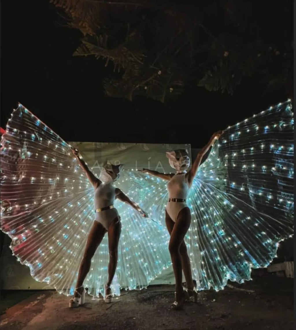 ZYOZ LED Angel Wings – Glowing Butterfly Wings for Dance, Stage Shows & Parties