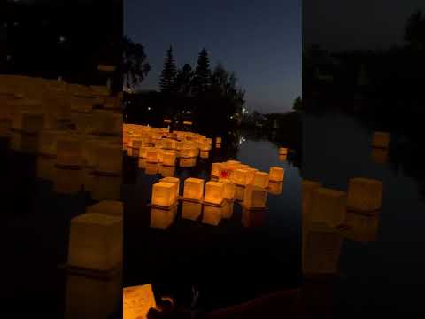ZYOZ Wishing Chinese Floating Lanterns For Lake, Festival, Pool Decoration (set of 5)