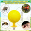 Sticky Trap Ball with Built-In UV Light Catcher | Indoor Insect & Mosquito Catcher for Home, Kitchen, and Office