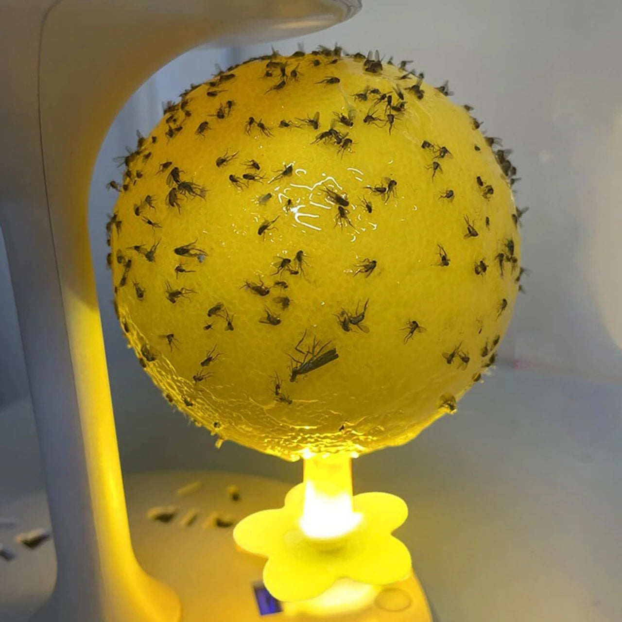 Sticky Trap Ball with Built-In UV Light Catcher | Indoor Insect & Mosquito Catcher for Home, Kitchen, and Office Secondary image